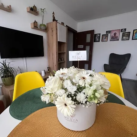 Lavi's Apart Apartment